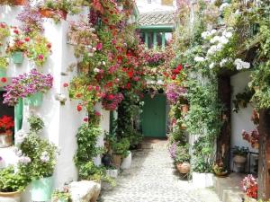 een binnenplaats vol bloemen en planten bij La Casa de la Costurera in Córdoba