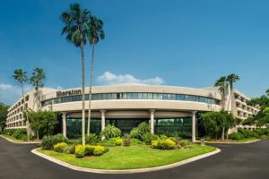 un edificio con una palmera delante de él en Sheraton Tampa Brandon Hotel, en Tampa