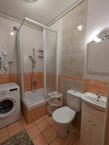 a bathroom with a shower toilet and a washing machine at 8-emka Apartament in Stronie Śląskie