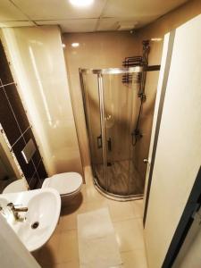 a bathroom with a shower and a toilet and a sink at Esin Hotel in Denizli