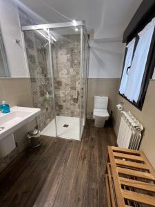 W łazience znajduje się prysznic, toaleta i umywalka. w obiekcie Casa Boni y Florina w mieście Nava