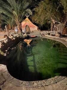 a large pool of green water with a bridge at Shamofs Farm in Siwa