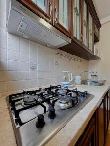 a kitchen with a stove top oven in a kitchen at Апартаменты в самом центре столицы. in Kyiv