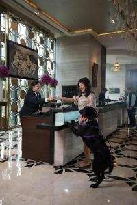 a woman with a dog standing in front of a counter at Pullman New Delhi Aerocity- International Airport in New Delhi