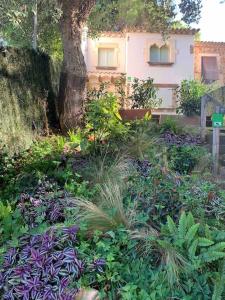 聖克里斯蒂納達羅的住宿－Fantàstica casa amb jardí en plena COSTA BRAVA，一座种满鲜花和树木的花园以及一座建筑