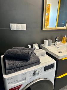 a washing machine in a bathroom with a sink at Happy Home in Târgu-Mureş