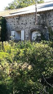 uma casa de pedra com uma janela e arbustos à sua frente em la chambre du moulin de la bleure em Moncoutant