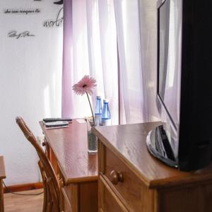 una flor en un jarrón sobre una mesa con un televisor en Hostal Victoria, en Altura
