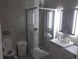 een badkamer met een douche, een toilet en een wastafel bij Apartman See in Bijeljina