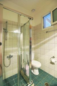 a bathroom with a toilet and a glass shower stall at Drossos Garden House in Nydri