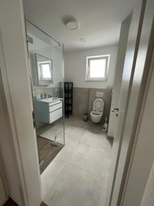 een badkamer met een toilet, een wastafel en een spiegel bij Moderne Einliegerwohnung am Park in Weingarten
