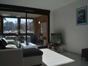 een woonkamer met een bank en een tv bij Appartement Argelès-sur-Mer, 3 pièces, 4 personnes - FR-1-225-652 in Argelès-sur-Mer
