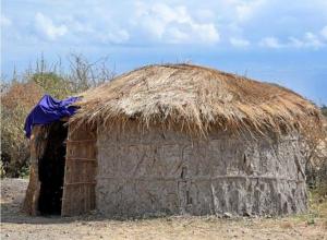una piccola capanna con tetto di paglia in cima di Mombo Maasai Culture Homestay 
