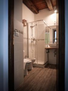 a bathroom with a shower and a toilet and a sink at Il Casale dei Nonni in Rieti