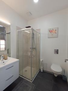 a bathroom with a glass shower and a toilet at Résidence Les Bénédictins in Limoges