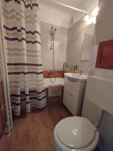 La salle de bains est pourvue de toilettes, d'un lavabo et d'une douche. dans l'établissement The Budapest View Apartment, à Budapest