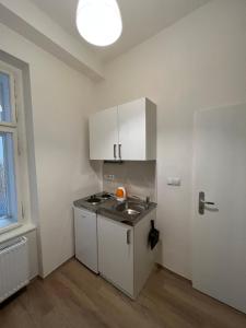Kuchyň nebo kuchyňský kout v ubytování Apartmány Soukenická + 17 fotografií