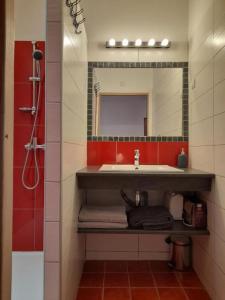 聖吉揚萊代塞爾的住宿－Les Studios de St Guilhem，一间带水槽和镜子的浴室