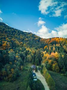 an aerial view of a forest with fall foliage at Căsuța dintre brazi in Râşnov