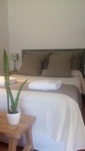 ein Schlafzimmer mit einem Bett mit Topfpflanze darauf in der Unterkunft La Adelita in Chascomús