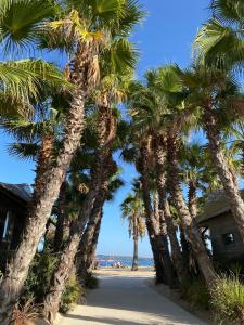 Une rangée de palmiers dans une rue dans l'établissement Mobil Homes Vacances, à Grimaud