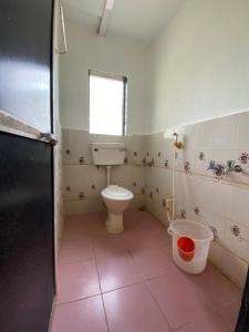 Vannituba majutusasutuses Hotel Aviraj Nivas +37 fotot