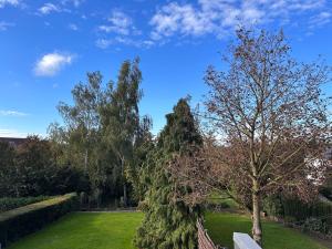 un albero in un cortile con una recinzione di Chambre dans habitat partagé chez Séverine a Nivelles