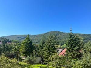 a house in the trees with a mountain in the background at Pod Bieńkulą – Sun&Sport in Szczyrk