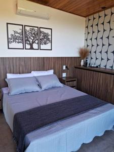 1 dormitorio con 1 cama grande en una habitación en Casa Vértize, uma casa de alto padrão com Spa Hidro e vista espetacular, en Cavalcante