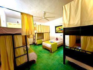 Bunk bed o mga bunk bed sa kuwarto sa Hostal Guacamayas