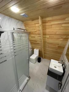 a bathroom with a shower and a sink and a toilet at Qafqaz Eminent Chalet in Gabala