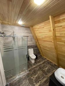 a bathroom with a shower and a toilet and a sink at Qafqaz Eminent Chalet in Gabala