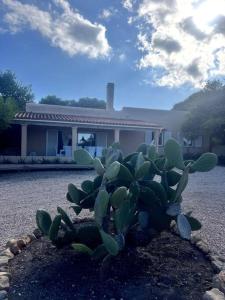 Gallery image of Casa Italia Vivienda Turistica ET6132 in Es Calo