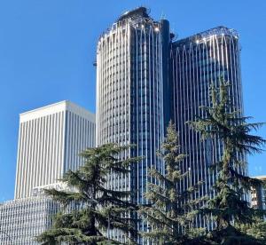 un grand bâtiment avec un palmier devant lui dans l'établissement Oasis urbano en el corazón financiero / Castellana, à Madrid