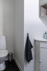 a bathroom with a toilet and a sink at FREDA - Relaxing downtown studio in Helsinki