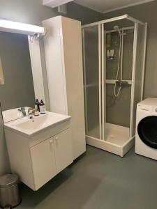 uma casa de banho com um chuveiro, um lavatório e uma máquina de lavar roupa em Leilighet i rolig gate med utsikt og gratis parkering em Tromsø