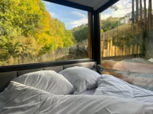 a bed with two pillows in front of a window at Domaine des Constellations - Gîtes & Bains Nordiques in Orbey