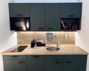 eine Küche mit dunkelgrünen Schränken und einem Waschbecken in der Unterkunft Puchberg Studio-Apartment in Puchberg am Schneeberg