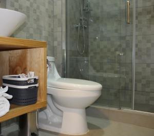 a bathroom with a toilet and a shower at Hostal Alamo Patagonico in Puerto Natales