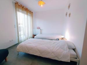 a bedroom with two beds and a window at Le Moulin du Lac, Terrasse, Neuf in Saint-Paul-lès-Dax +15 photos