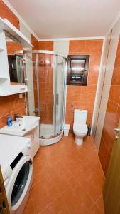 a bathroom with a toilet and a shower and a washing machine at Villa Darija in Danilovgrad
