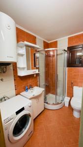 a bathroom with a shower and a sink and a washing machine at Villa Darija in Danilovgrad