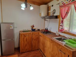 eine kleine Küche mit Spüle und Kühlschrank in der Unterkunft Mika's House 2 in Hanga Roa