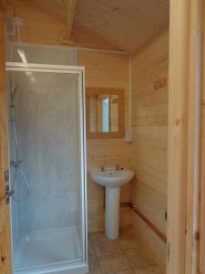 Bathroom sa Bryn Dinas Camping Pods Ltd.