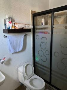 a bathroom with a shower and a toilet and a sink at Casa Deluxe Celaya in Celaya