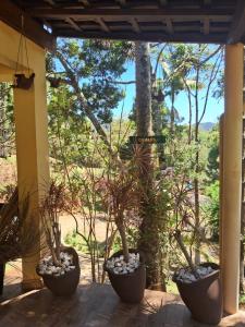 hotel fazenda das montanhas في ديلفيم مورييرا: مجموعة من النباتات الفخارية التي تقف على الشرفة