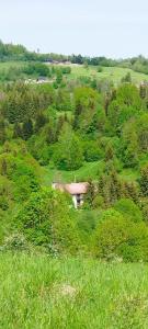 ザズリヴァにあるPenzion Zázrifkaの草の丘の中の小屋