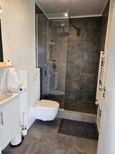 a bathroom with a shower and a toilet and a sink at Apartment Skógafoss in Skogar