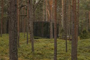 einen Picknicktisch mitten im Wald in der Unterkunft ÖÖD Hötels Lohusalu LEIDA & ENNO in Laulasmaa