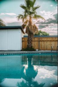a palm tree is reflected in a swimming pool at Triangle Motel in Red Bluff